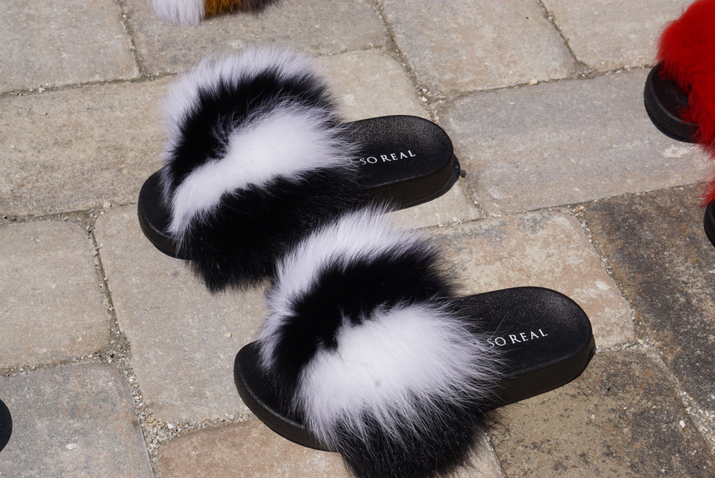 Skunk Fox Slippers - SHOP SO REAL 