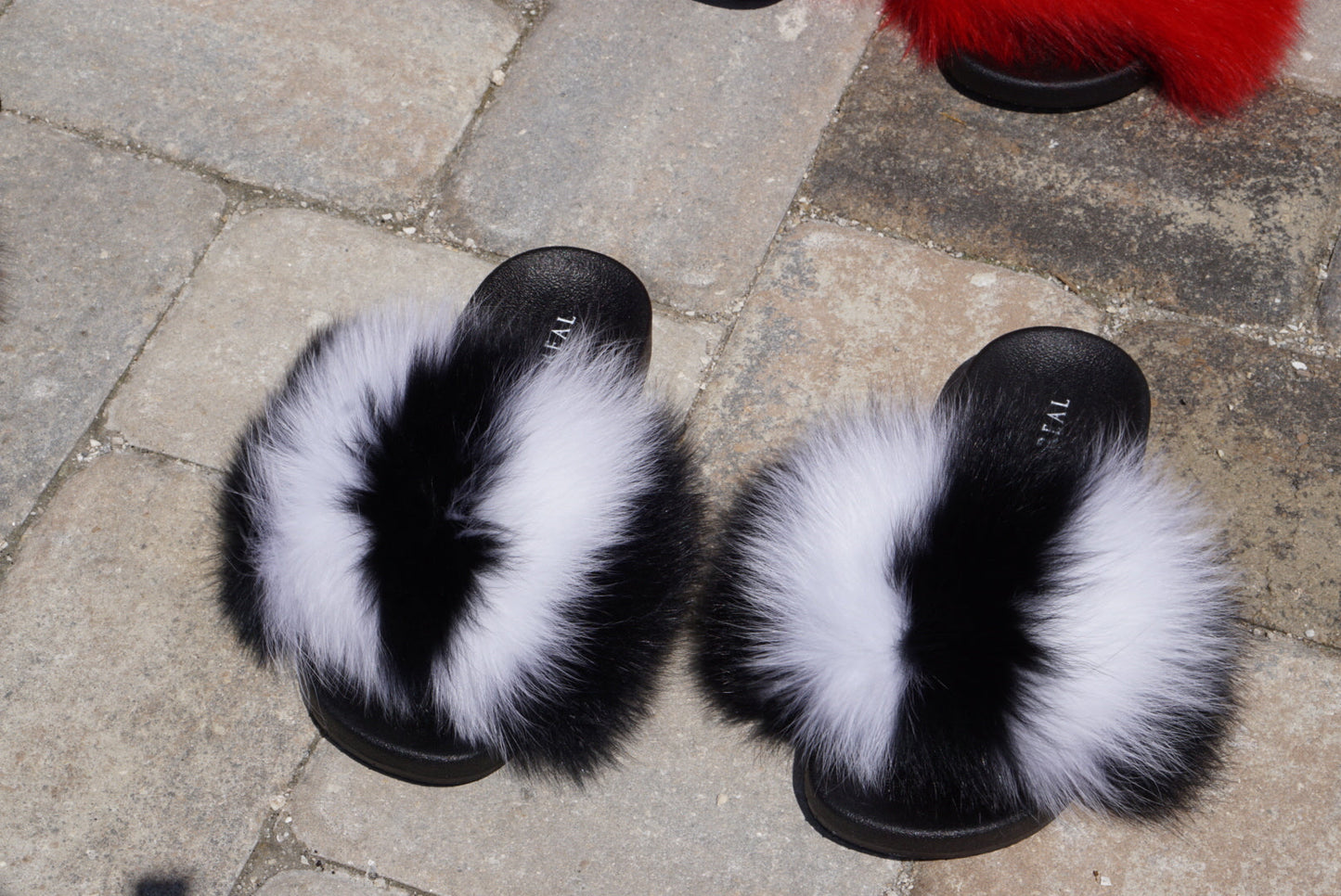 Skunk Fox Slippers - SHOP SO REAL 