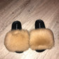 Wheat Fox - SHOP SO REAL 