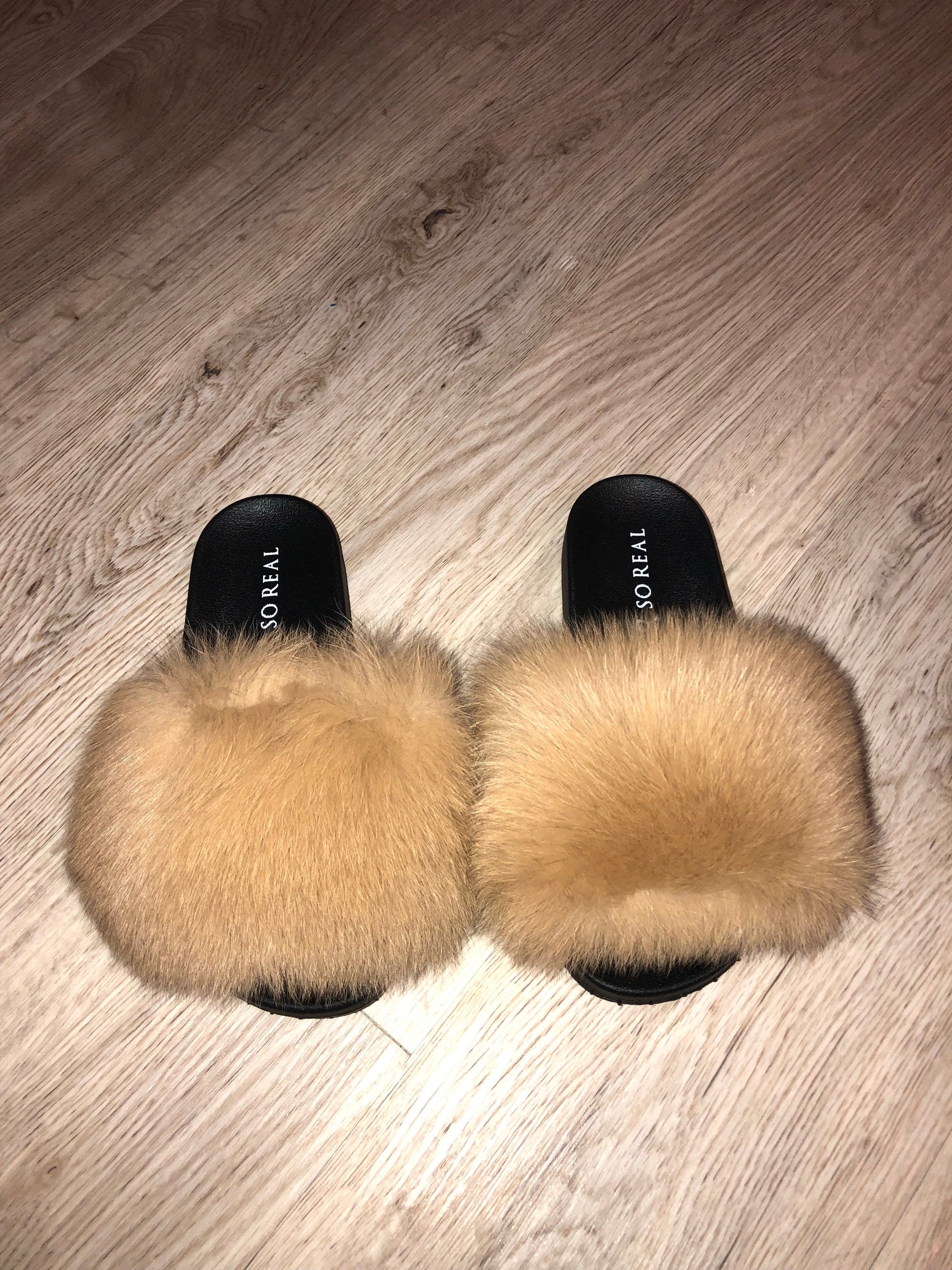 Wheat Fox - SHOP SO REAL 