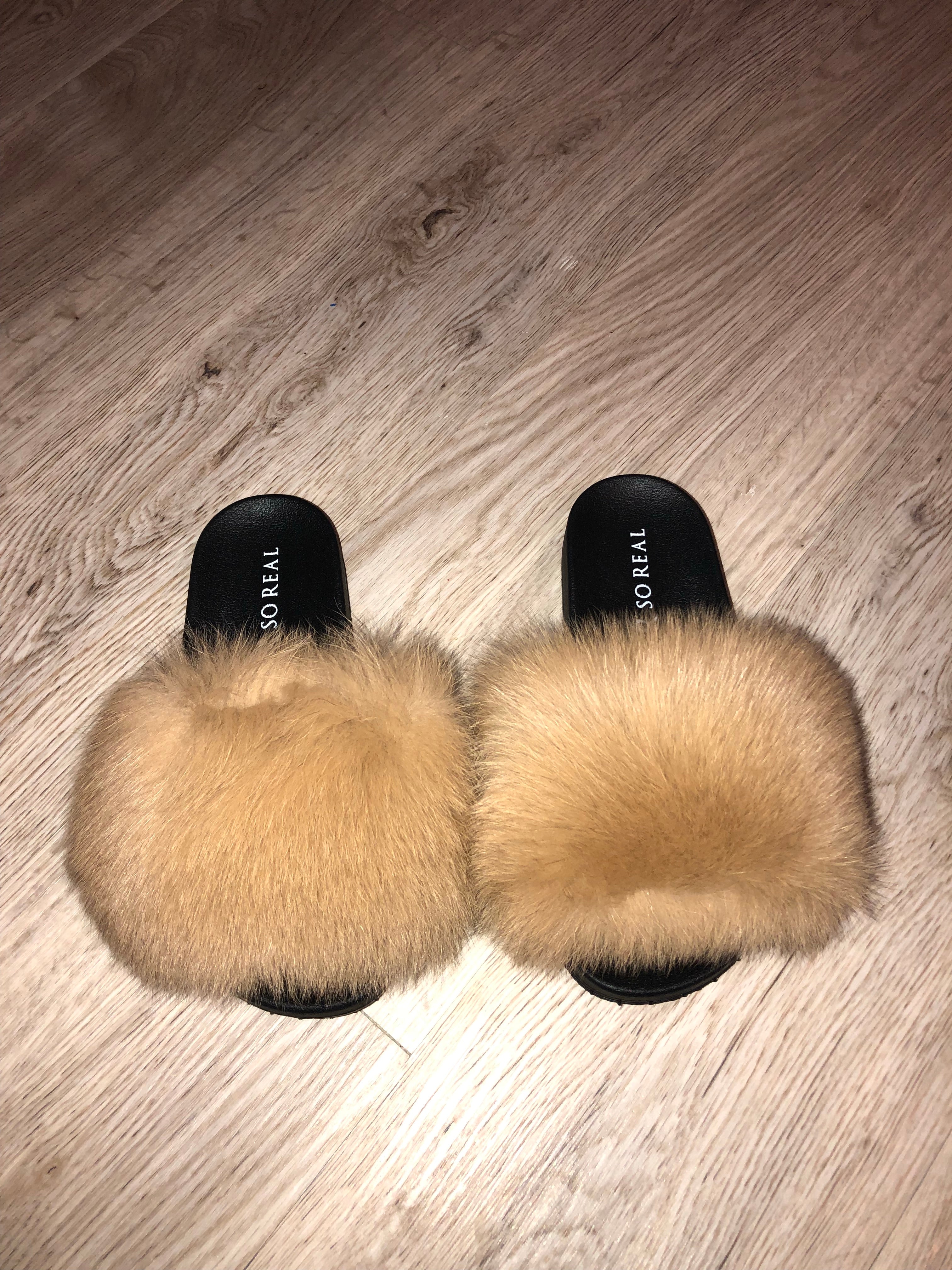 Wheat Fox - SHOP SO REAL 