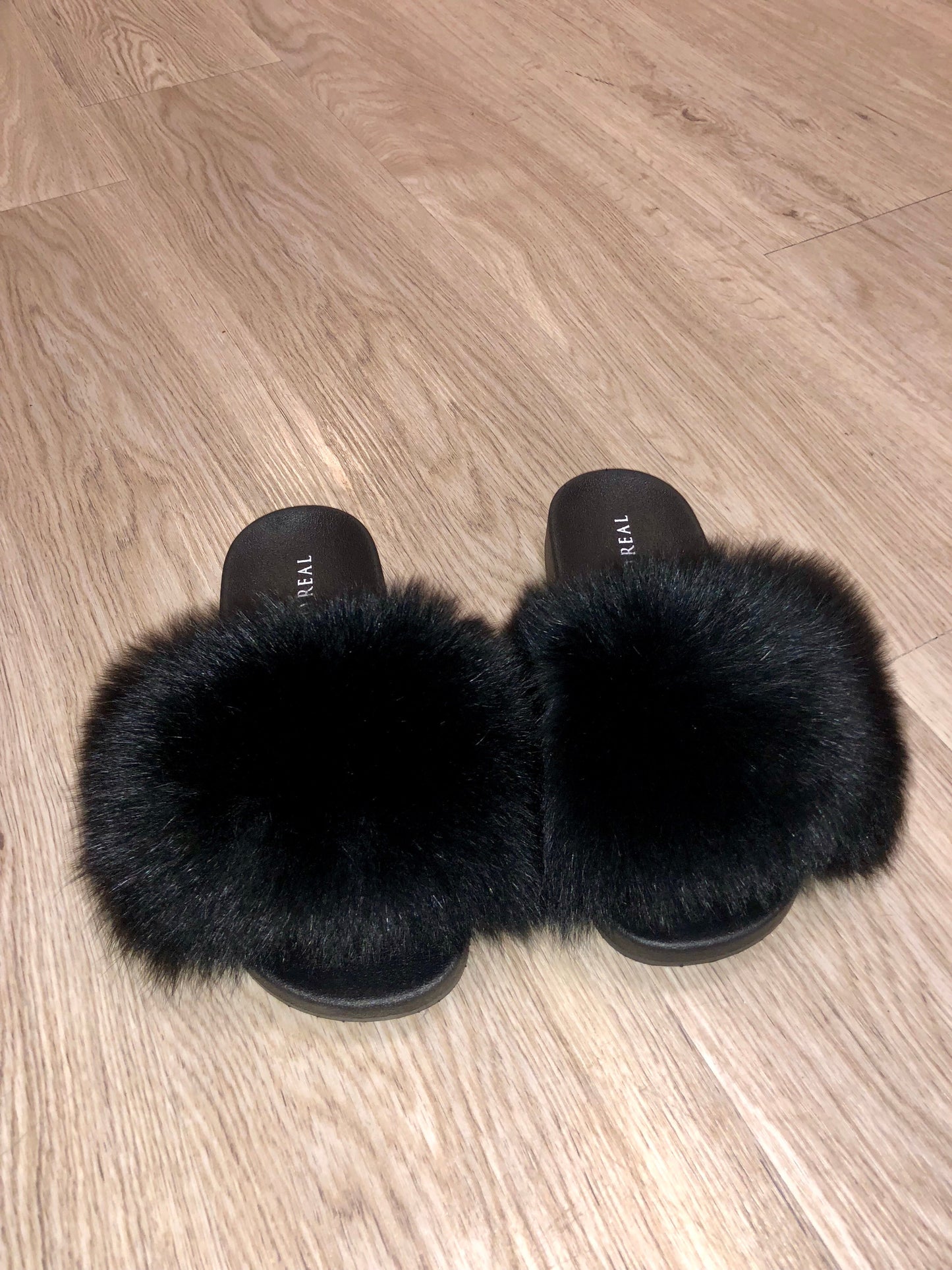 Solid Black Fox - SHOP SO REAL 