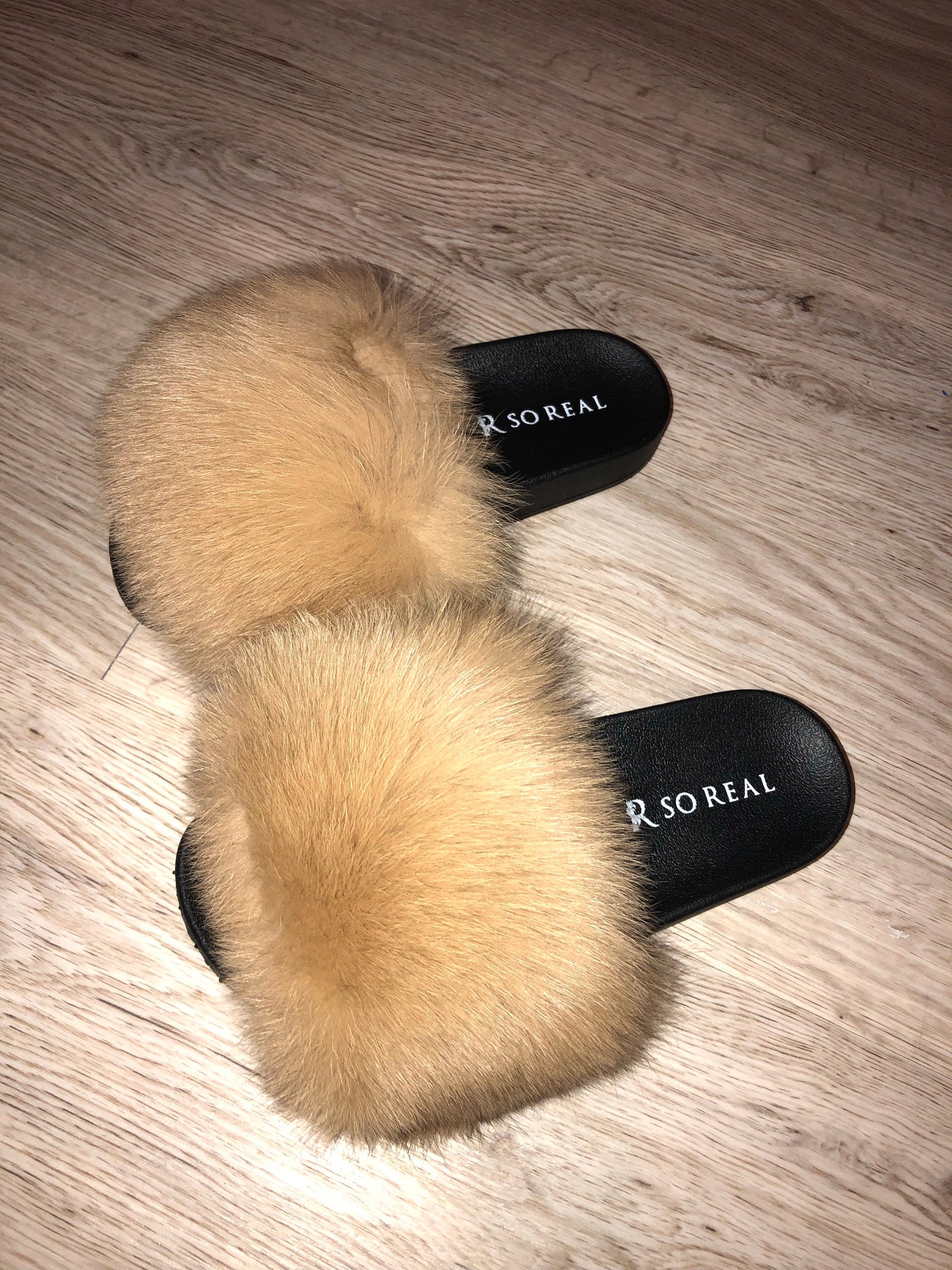 Wheat Fox - SHOP SO REAL 