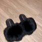 Solid Black Fox - SHOP SO REAL 