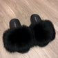 Solid Black Fox - SHOP SO REAL 