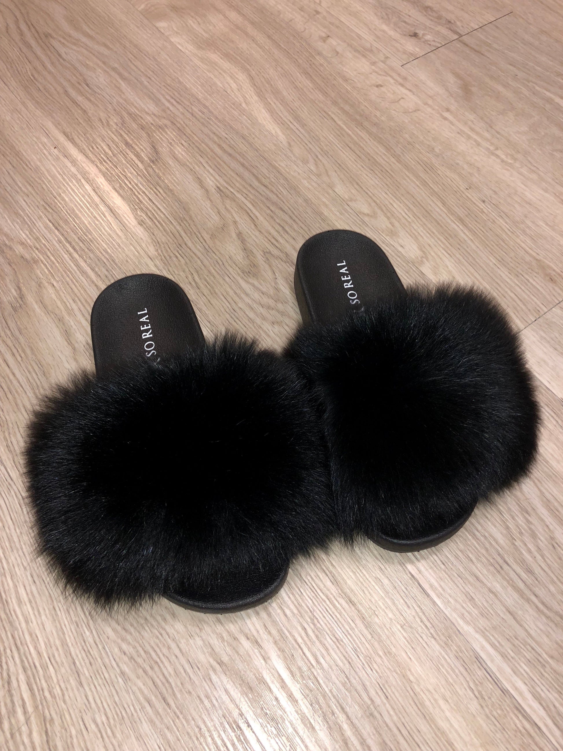 Solid Black Fox - SHOP SO REAL 